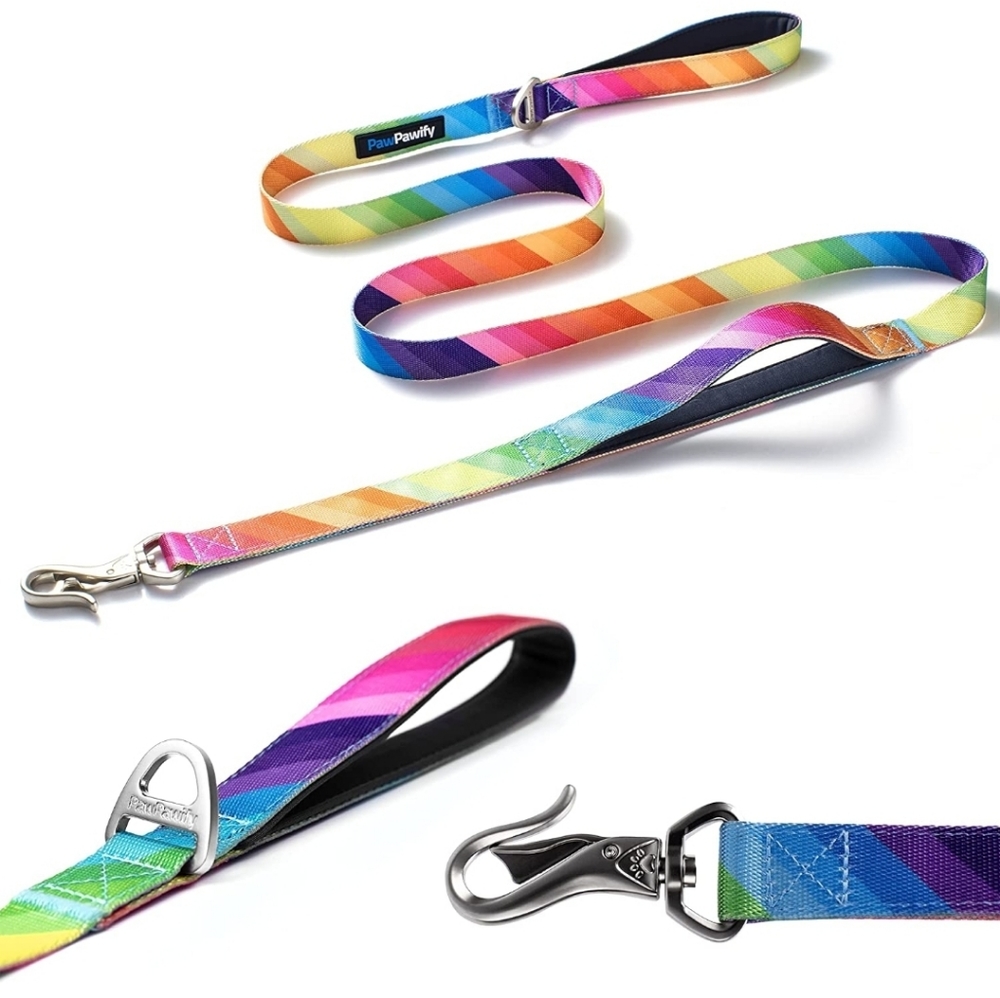 Heavy Duty Long Nylon Rainbow Colored Dog Leash 5 ft